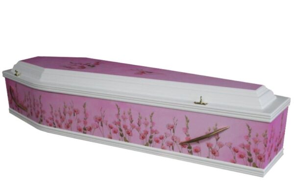 Colourful-coffin Colourful-coffin